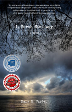 Cover for I, Sarah Steinway by Mary E. Carter